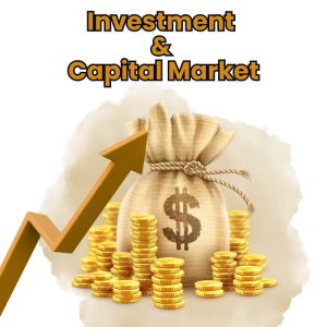 Investment & Capital Market