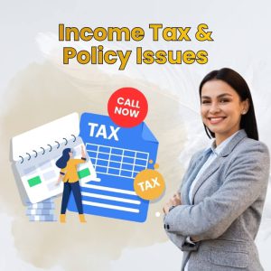 Income Tax & Policy Issues