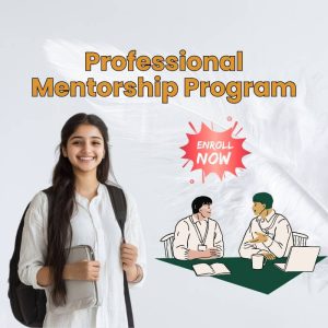 Professional Mentorship Program